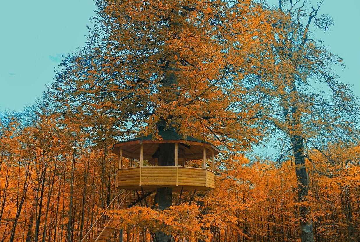 Kertil Mesire Alanı